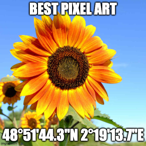 Image with sunflower and coordinates