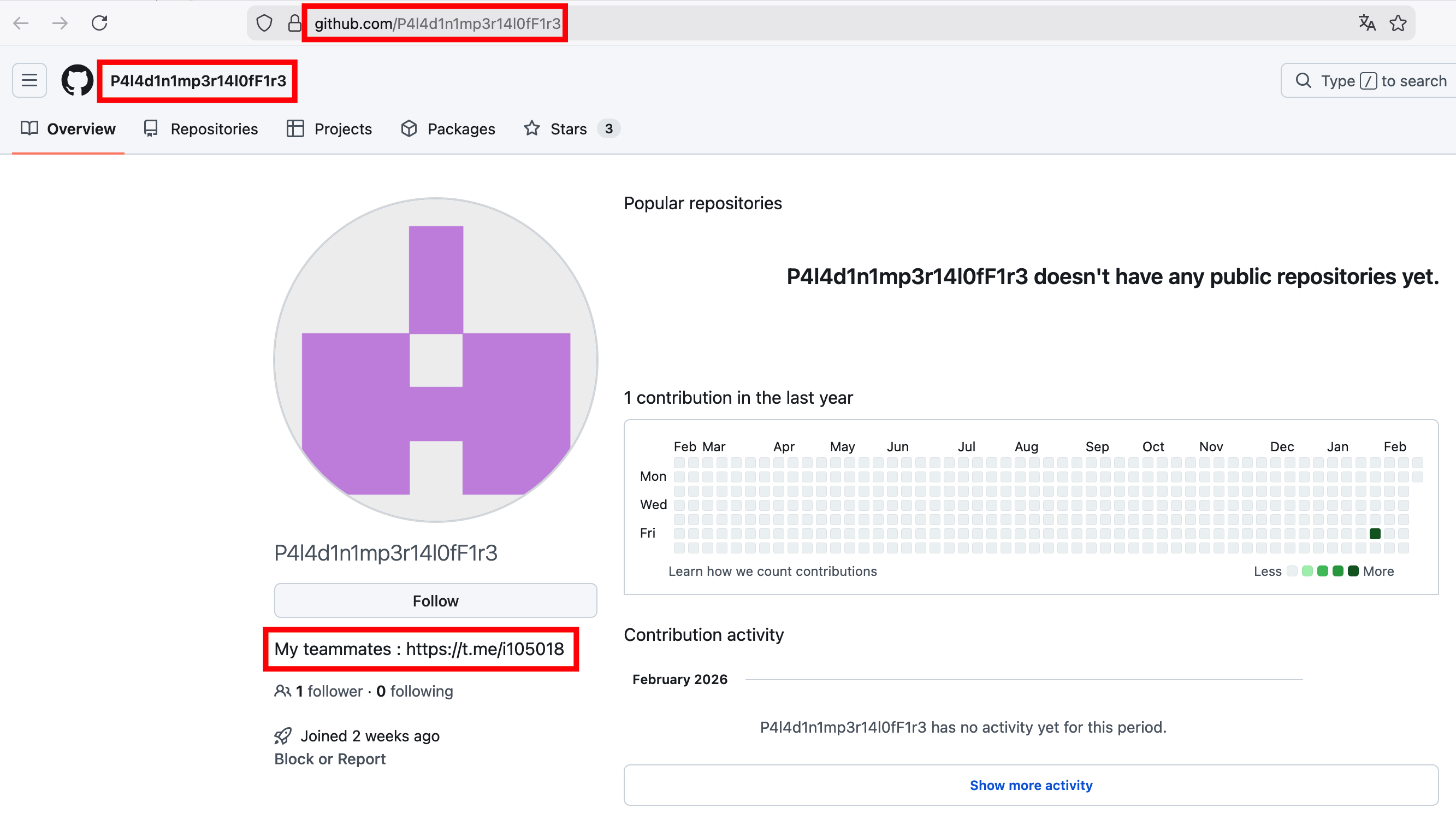 GitHub — Paladin Fire account